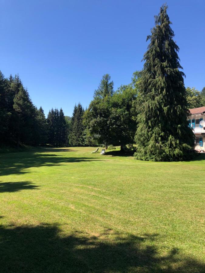 Agriturismo La Casa Nel Bosco Boveglio Eksteriør billede