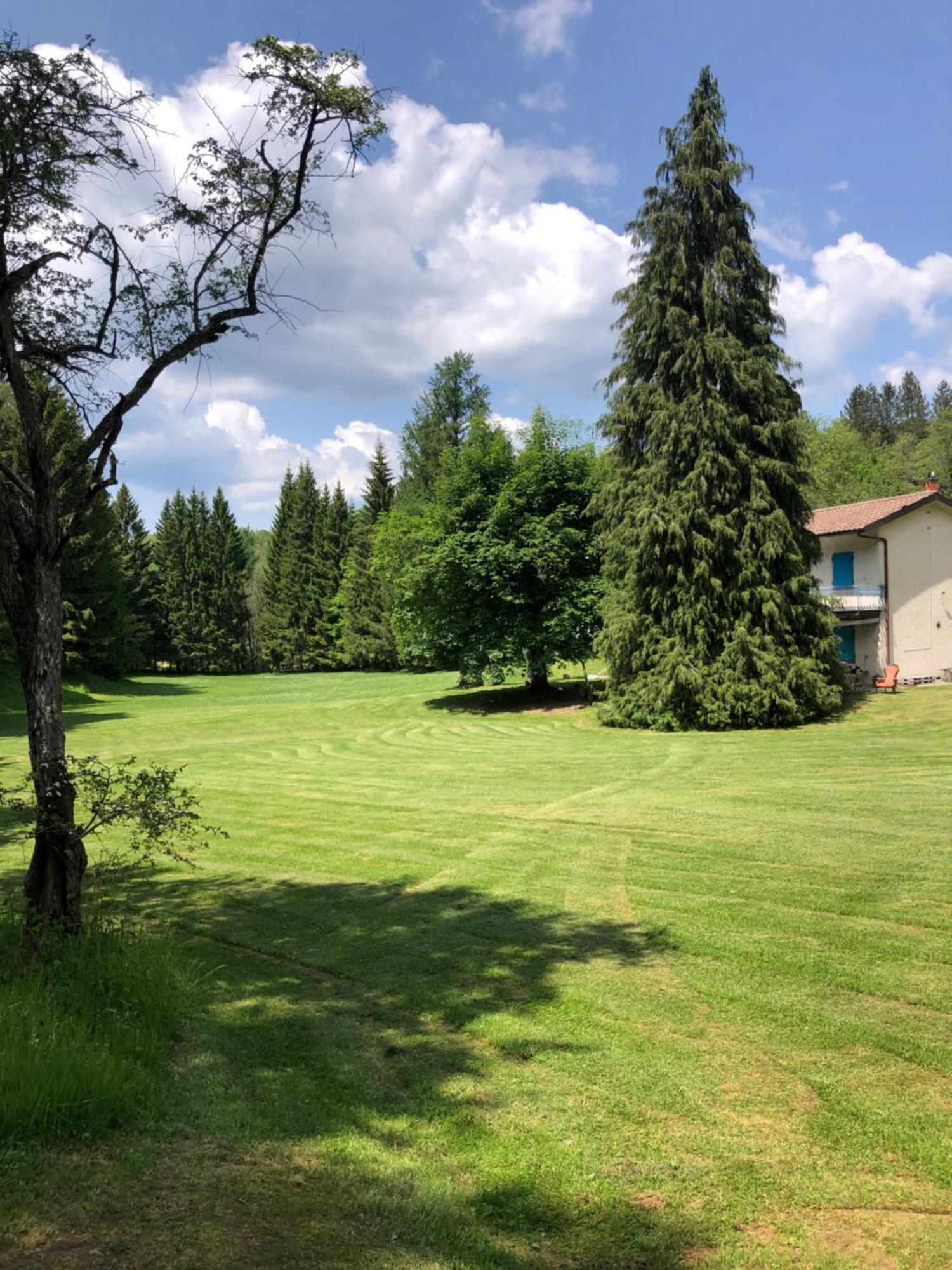 Agriturismo La Casa Nel Bosco Boveglio Eksteriør billede