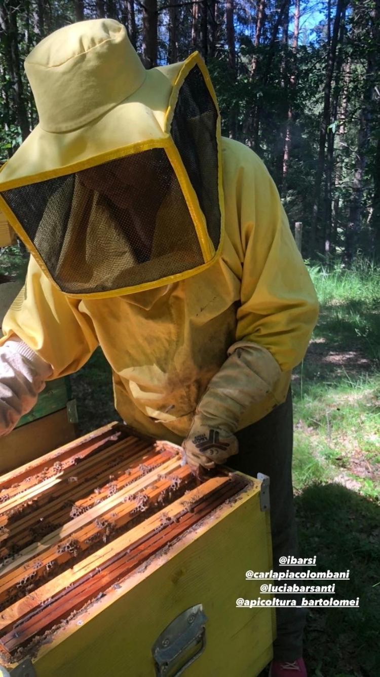 Agriturismo La Casa Nel Bosco Boveglio Eksteriør billede