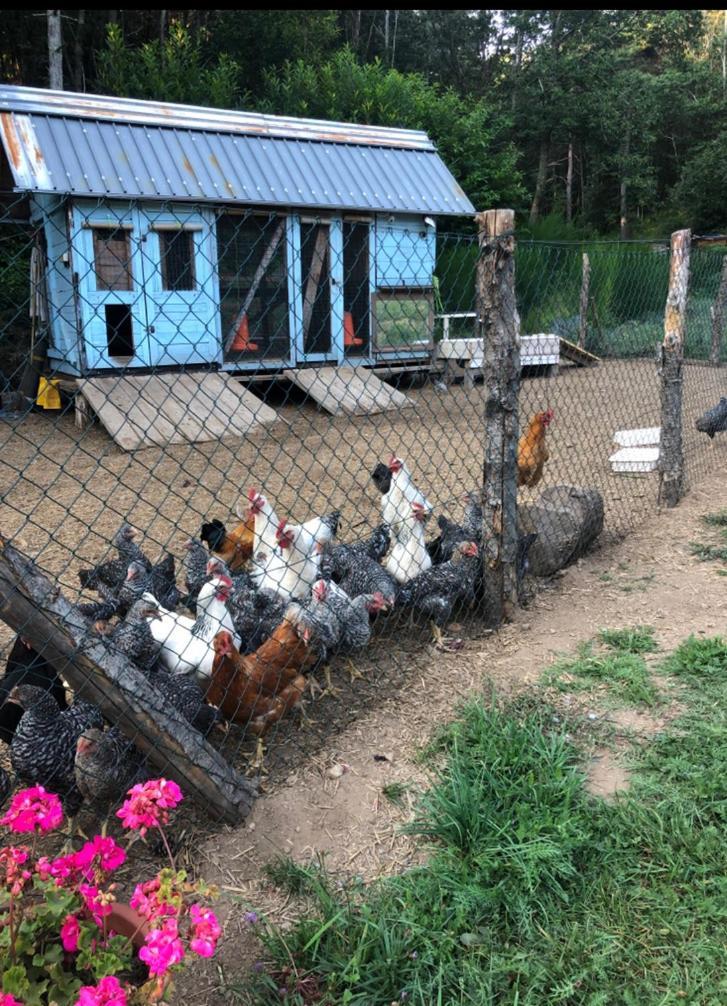 Agriturismo La Casa Nel Bosco Boveglio Eksteriør billede