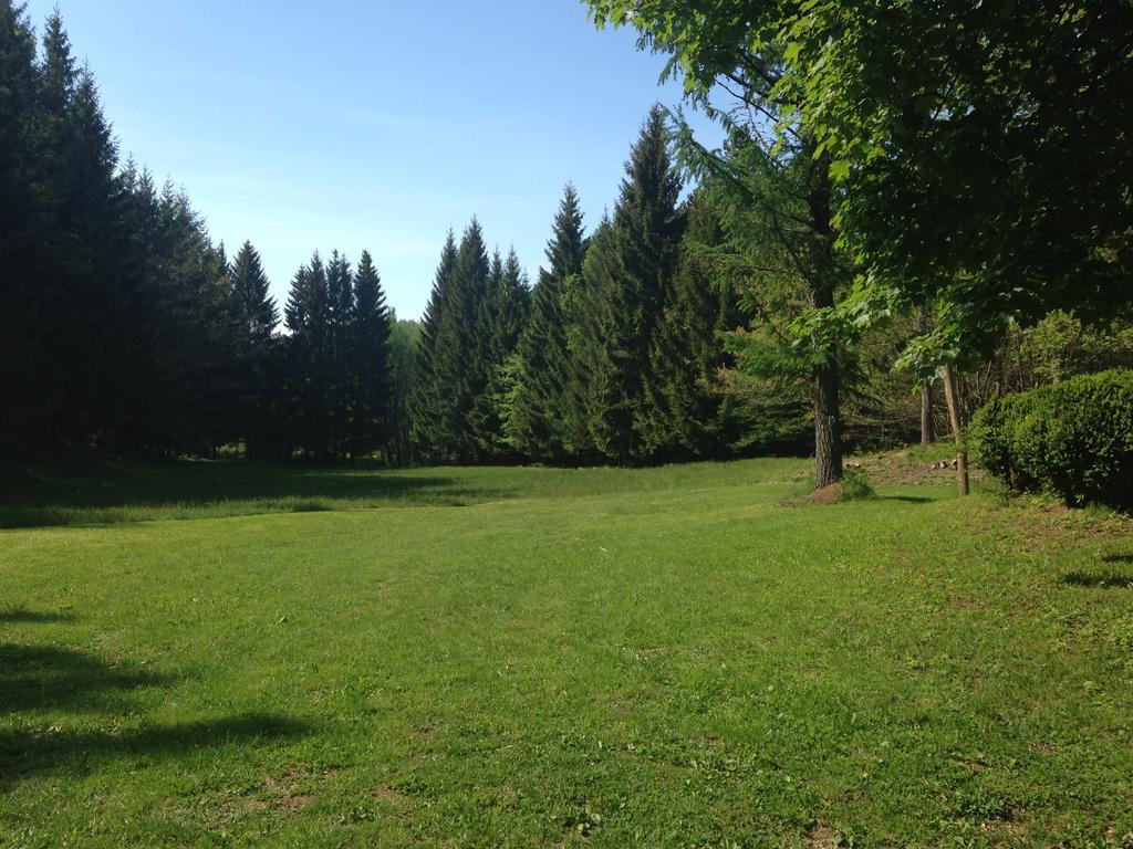 Agriturismo La Casa Nel Bosco Boveglio Eksteriør billede