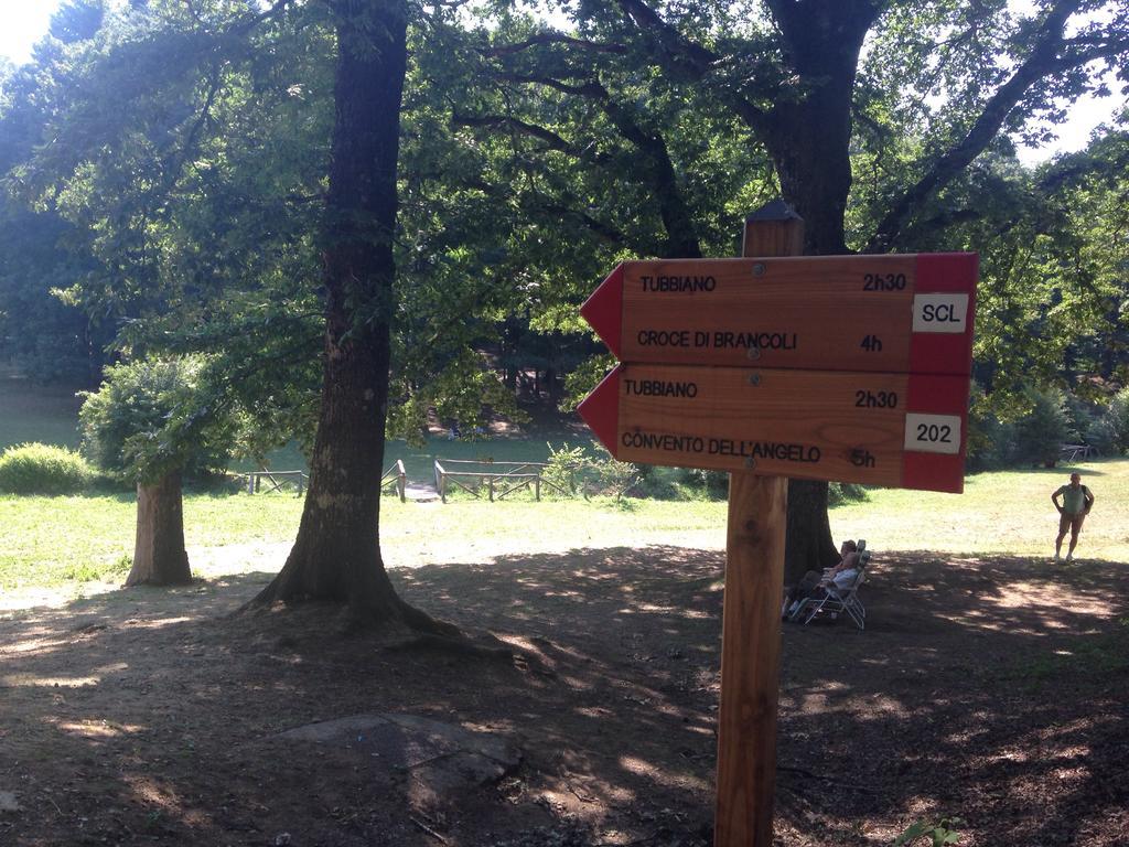 Agriturismo La Casa Nel Bosco Boveglio Eksteriør billede