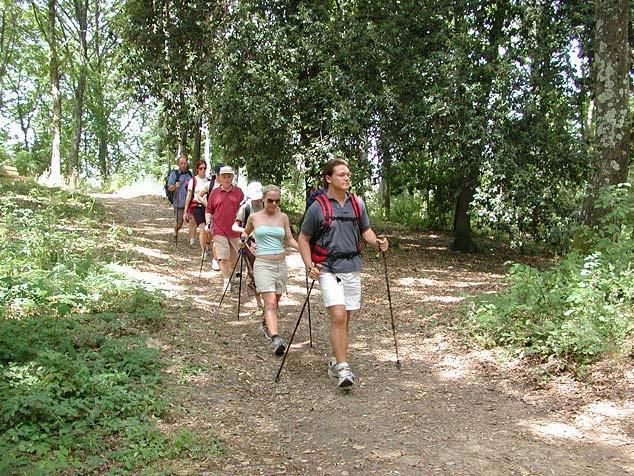 Agriturismo La Casa Nel Bosco Boveglio Eksteriør billede