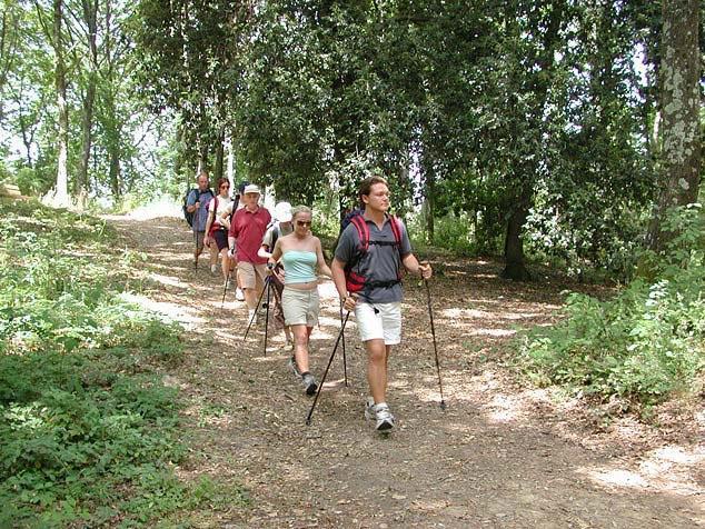 Agriturismo La Casa Nel Bosco Villa Boveglio Eksteriør billede