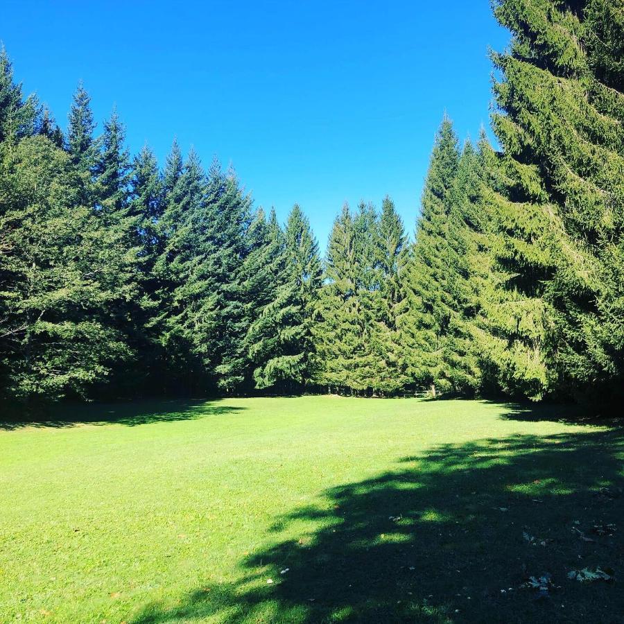 Agriturismo La Casa Nel Bosco Boveglio Eksteriør billede